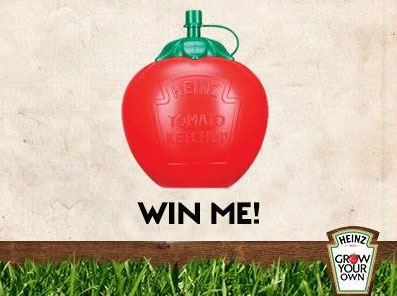heinz tomato ketchup